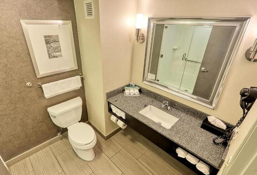 スタンダードルーム, Holiday Inn Express And Suites Batavia, An Ihg