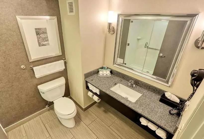 スタンダードルーム, Holiday Inn Express And Suites Batavia, An Ihg
