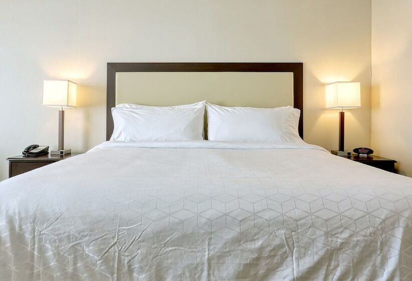 スタンダードルーム, Holiday Inn Express And Suites Batavia, An Ihg