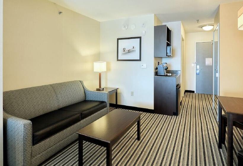 身障者適用スイートルーム, Holiday Inn Express And Suites Batavia, An Ihg