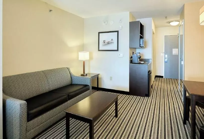 身障者適用スイートルーム, Holiday Inn Express And Suites Batavia, An Ihg