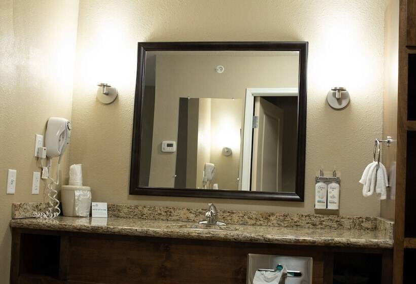 스탠다드 룸, Holiday Inn Express & Suites   Williston, An Ihg