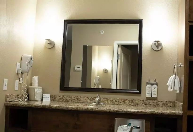 اتاق استاندارد, Holiday Inn Express & Suites Williston, An Ihg