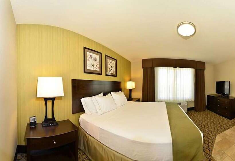 스위트, Holiday Inn Express & Suites   Williston, An Ihg
