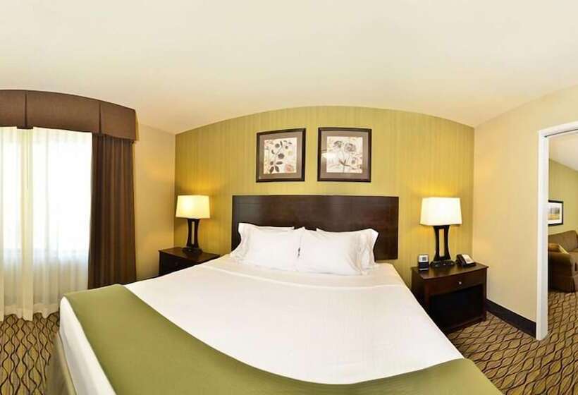 스위트, Holiday Inn Express & Suites   Williston, An Ihg