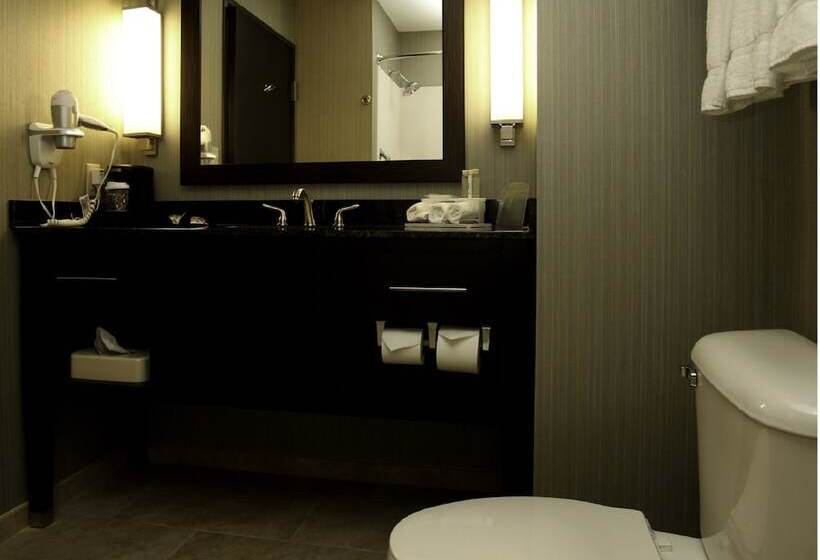 חדר סטנדרט, Holiday Inn Express & Suites Marion Northeast, An Ihg