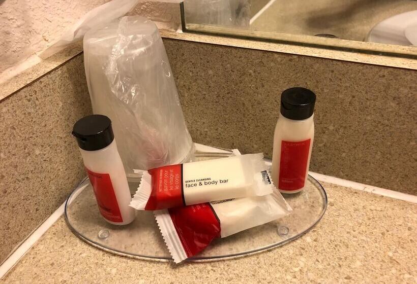 商务房间, Howard Johnson By Wyndham Salem