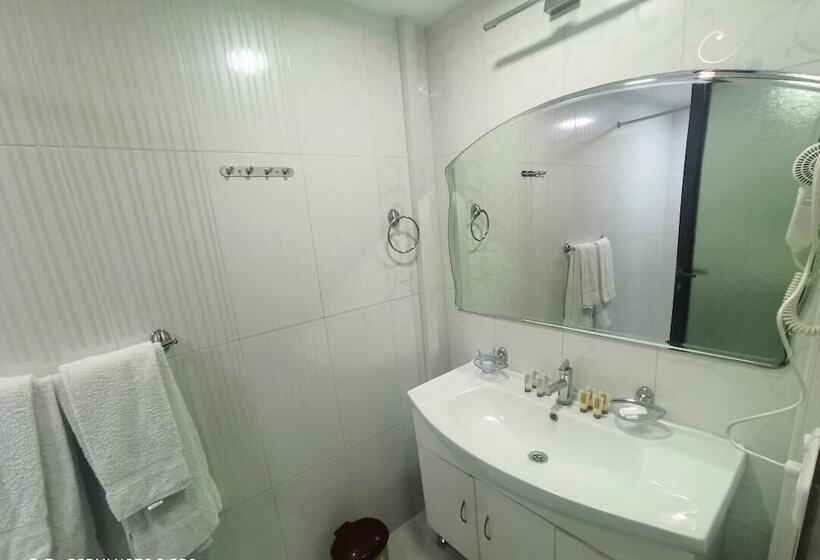 이코노미 룸, Yerevan Deluxe