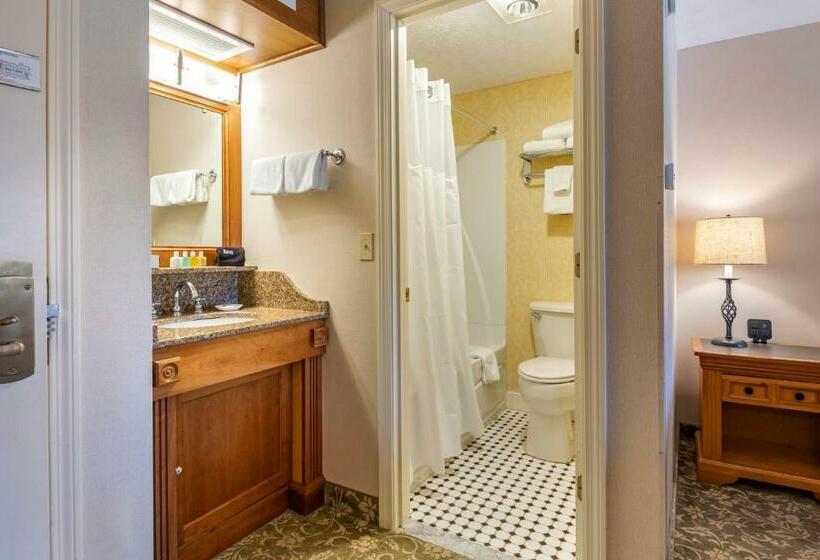 스탠다드 룸 킹사이즈 침대, Meadowmere Resort