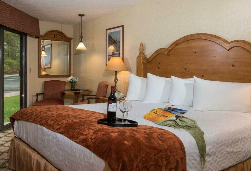 스탠다드 룸 킹사이즈 침대, Meadowmere Resort