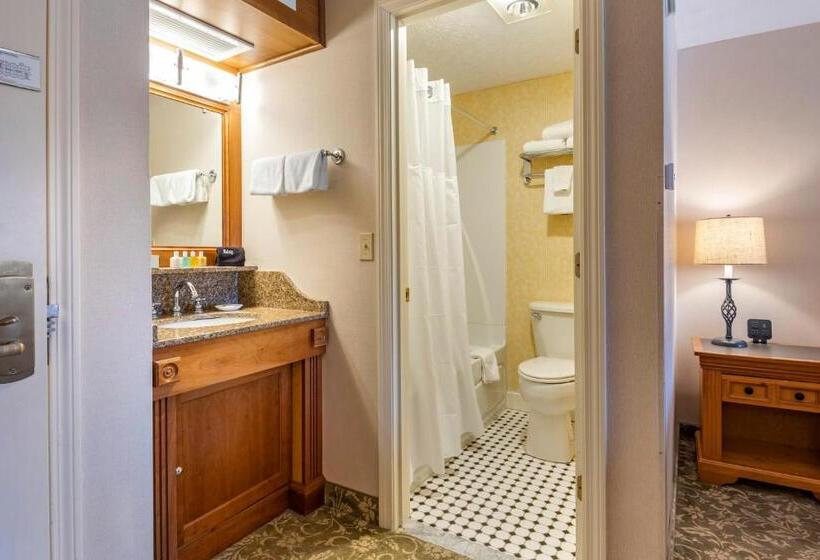 Номер Стандарт 2 Двуспальные Кровати, Meadowmere Resort