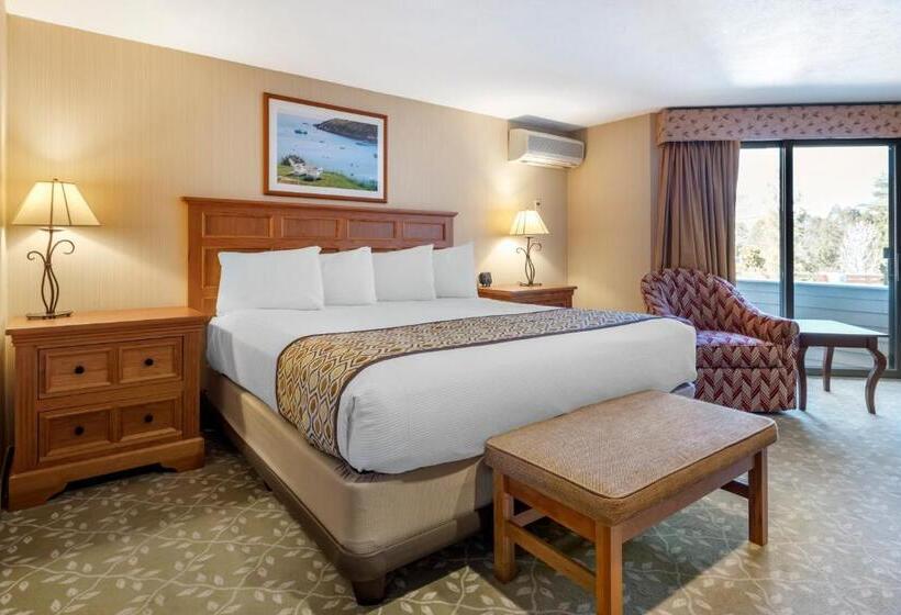 장애인을 위한 킹사이즈 침대 스탠다드 룸, Meadowmere Resort