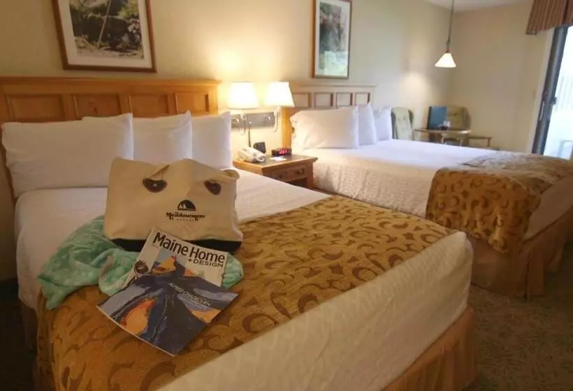 身障者適用スタンダードルーム, Meadowmere Resort