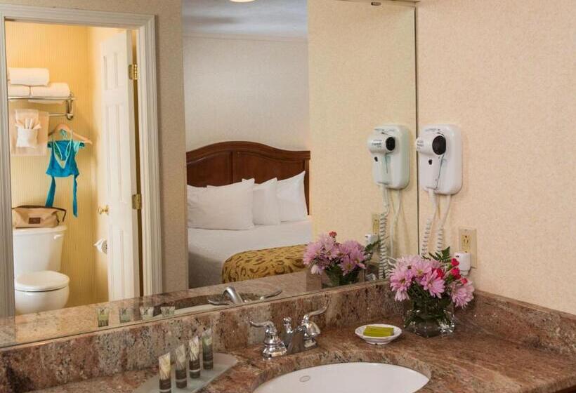 스탠다드 룸, Meadowmere Resort