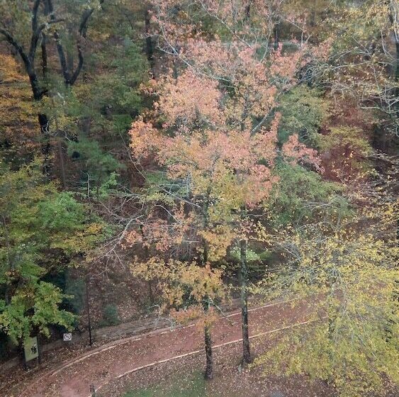 غرفه قياسيه سريرين مزدوجين, Park Hotel Of Hot Springs