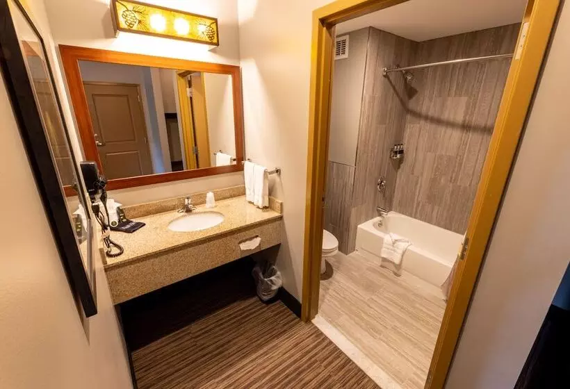 スタンダードルーム, Six Flags Great Escape Lodge & Indoor Waterpark