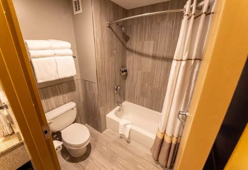 スタンダードルーム, Six Flags Great Escape Lodge & Indoor Waterpark