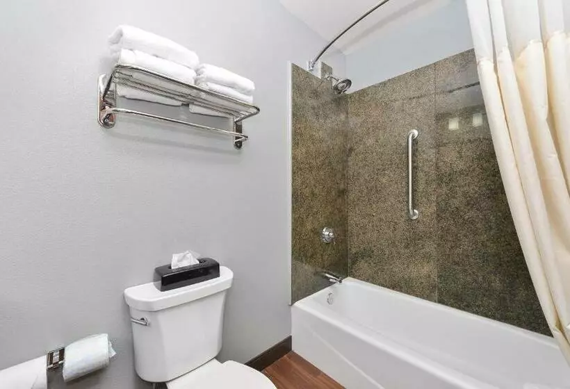 اتاق استاندارد, Best Western Plus Williston Hotel & Suites