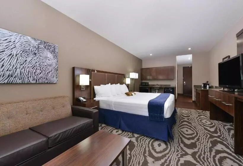 اتاق استاندارد با تخت بزرگ, Best Western Plus Williston Hotel & Suites