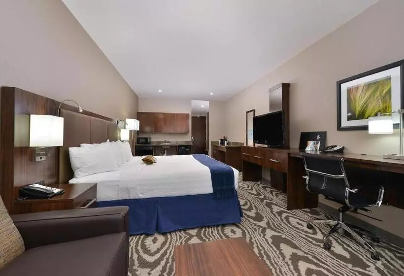 اتاق استاندارد با تخت بزرگ, Best Western Plus Williston Hotel & Suites
