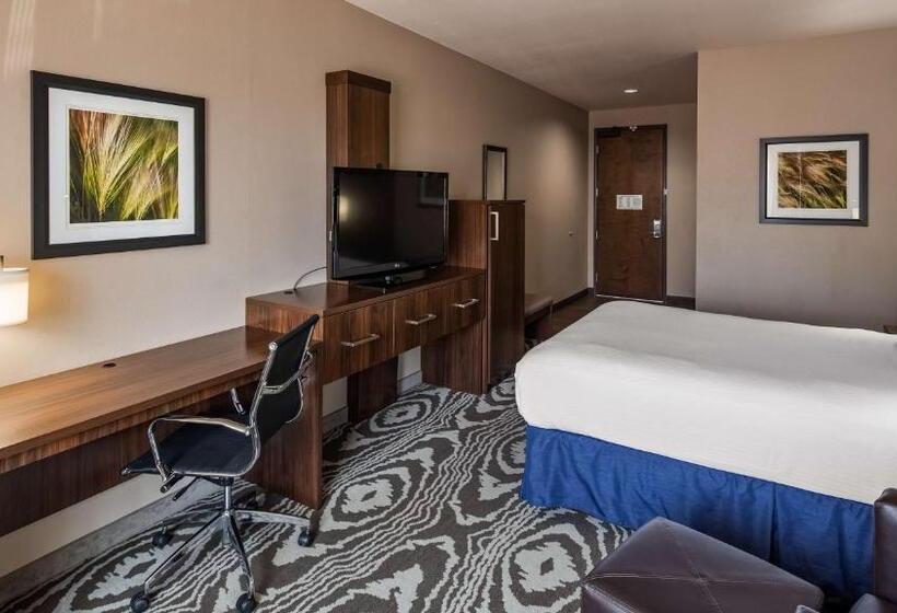 带大床的标准间, Best Western Plus Williston Hotel & Suites