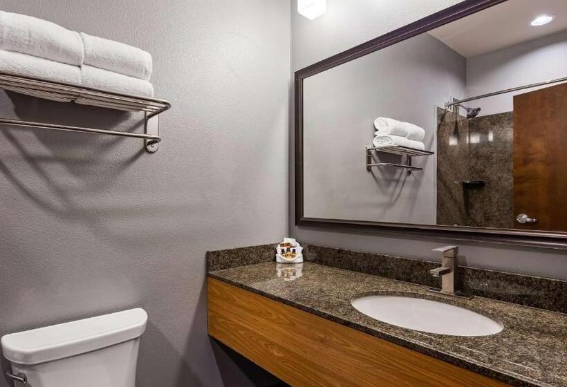 キングサイズベッドのスタンダードルーム, Best Western Plus Williston Hotel & Suites