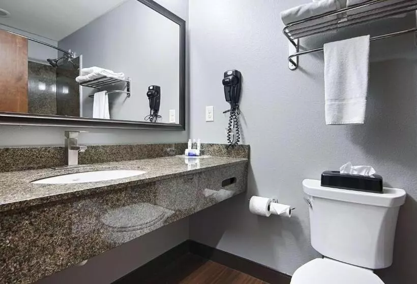اتاق استاندارد با تخت بزرگ برای معلولان, Best Western Plus Williston Hotel & Suites