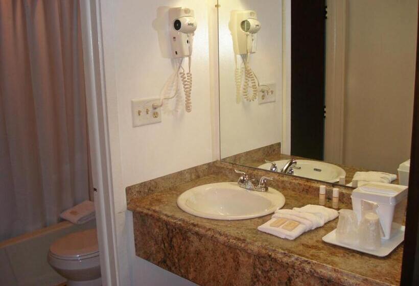 غرفة قياسية سرير كينج, Guestlodge