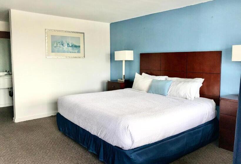 غرفة قياسية سرير كينج, Guestlodge