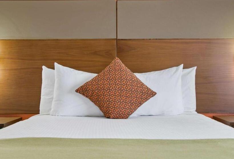 Номер Стандарт, Best Western Harker Heights Killeen