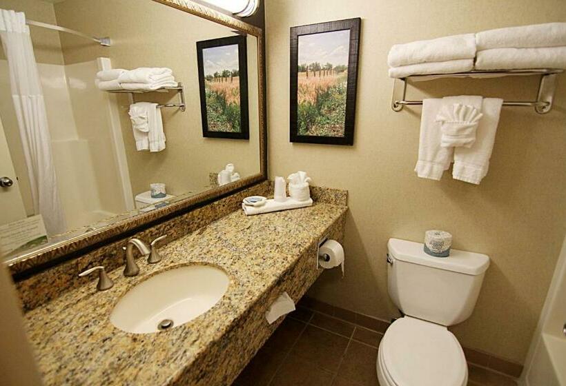 Стандартный Номер Кровать Кинг, C Mon Inn Grand Forks