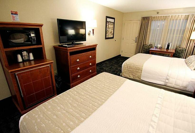 Номер Стандарт, C Mon Inn Grand Forks