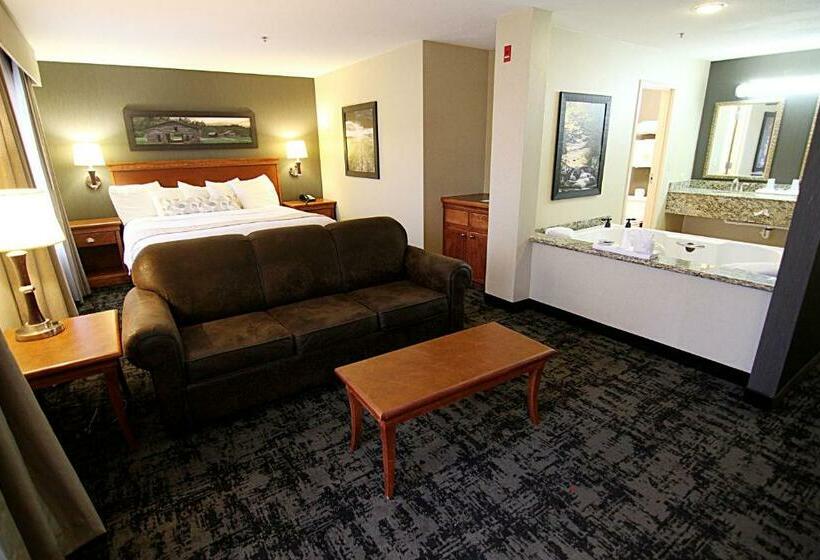 带按摩浴盆的套房, C Mon Inn Grand Forks