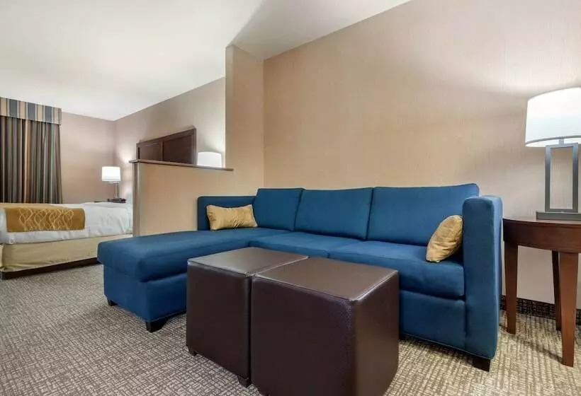 Sviitti, Comfort Inn & Suites Mitchell I 90