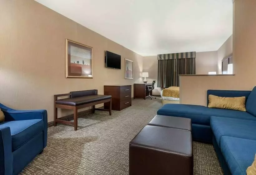 Sviitti, Comfort Inn & Suites Mitchell I 90