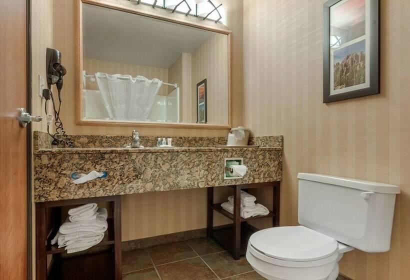 Люкс, Comfort Inn & Suites Mitchell I 90