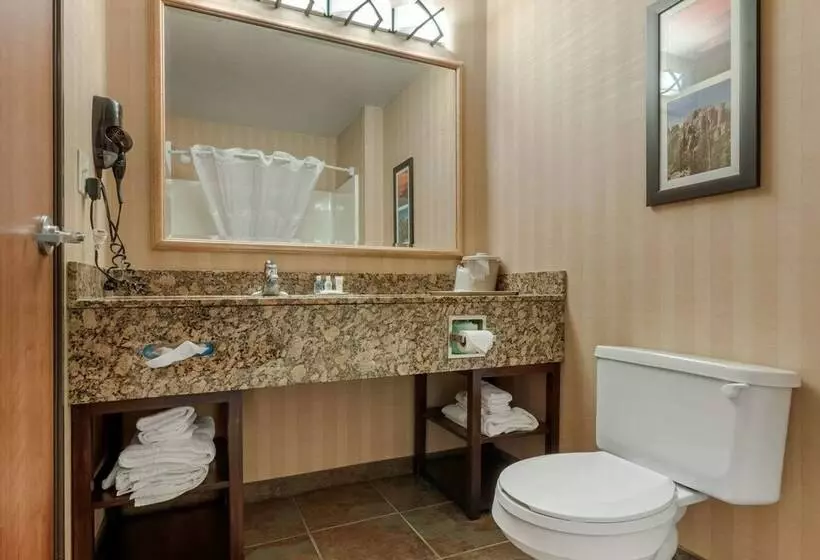 Sviitti, Comfort Inn & Suites Mitchell I 90