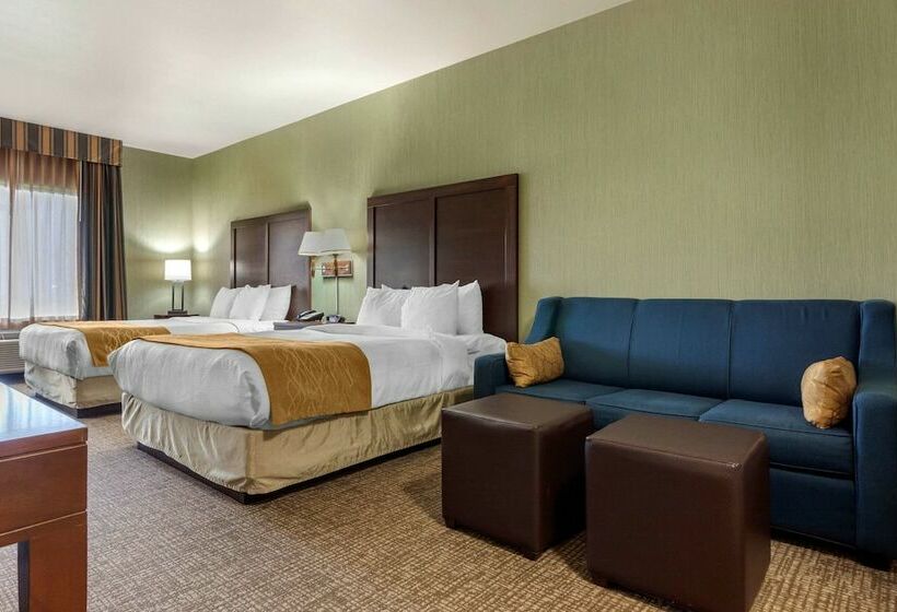 جناح, Comfort Inn & Suites Mitchell I 90