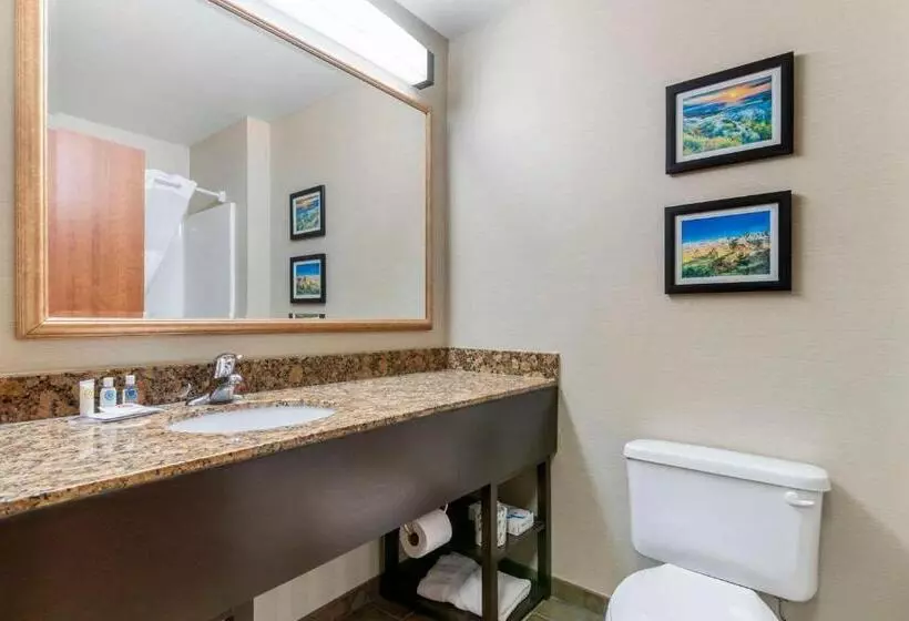 Standard-huone, Comfort Inn & Suites Mitchell I 90