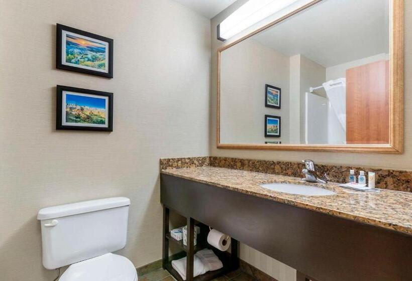 جناح سرير كينج, Comfort Inn & Suites Mitchell I 90