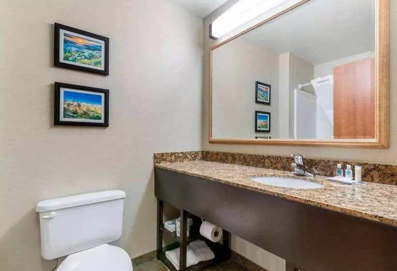 Sviitti King-vuode, Comfort Inn & Suites Mitchell I 90