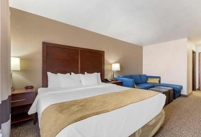 جناح سرير كينج, Comfort Inn & Suites Mitchell I 90