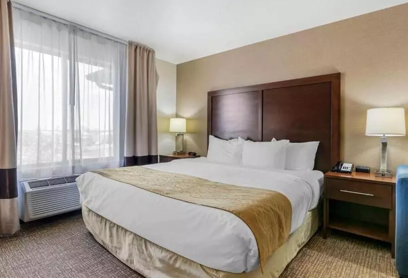Sviitti King-vuode, Comfort Inn & Suites Mitchell I 90