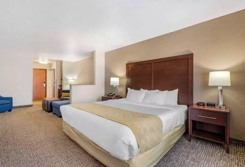 Sviitti Liikuntarajoitteisille, Comfort Inn & Suites Mitchell I 90