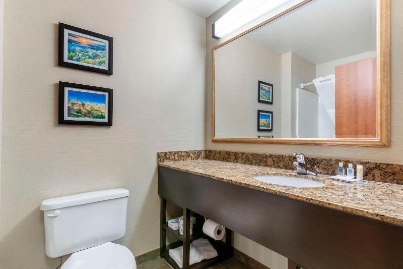 جناح سرير كينج, Comfort Inn & Suites Mitchell I 90