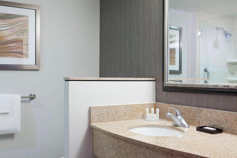 اتاق استاندارد با تخت بزرگ, Courtyard Des Moines Ankeny