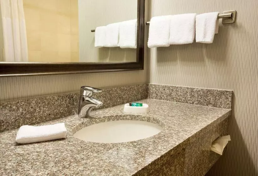 デラックスルーム, Drury Inn & Suites Columbus Grove City