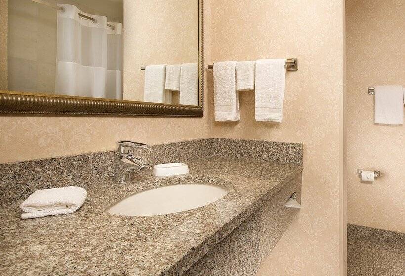 חדר דלוקס מותאם לאנשים עם מוגבלויות, Drury Inn & Suites Columbus Grove City