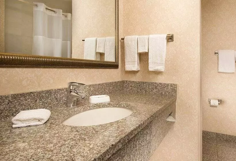 スイート, Drury Inn & Suites Columbus Grove City