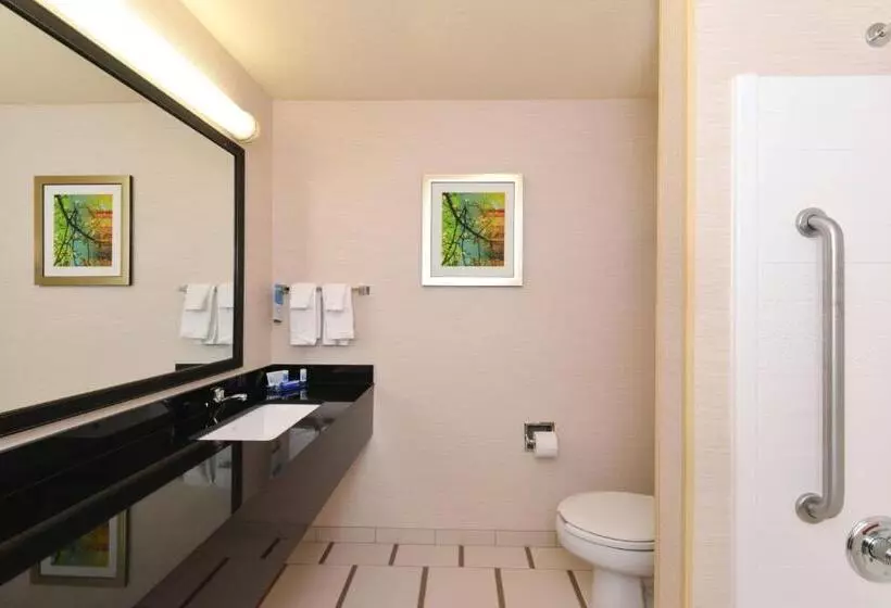 キングサイズベッドのスタンダードルーム, Fairfield Inn & Suites Bloomington